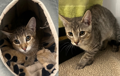 Momo und Milo Momo und Milo